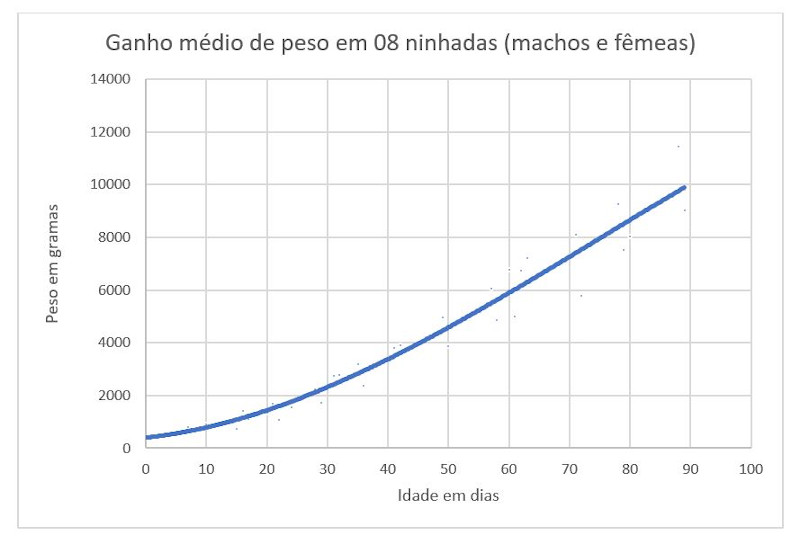 Acompanhamento do peso dos filhotes